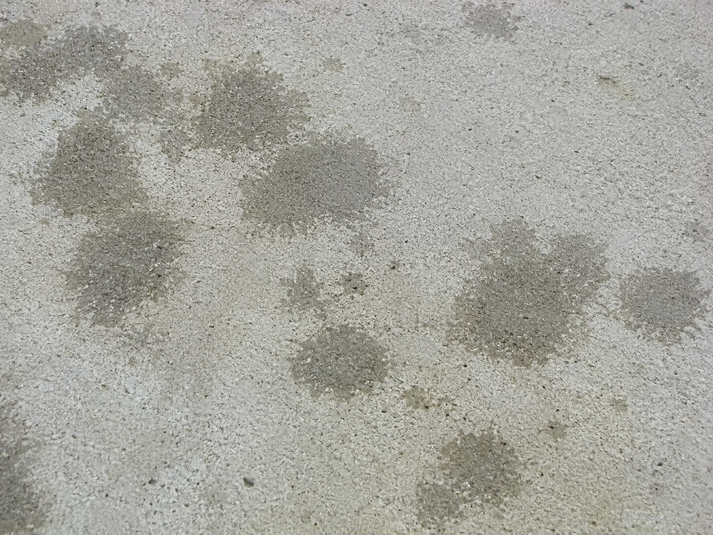 Water fully absorbed into porous concrete